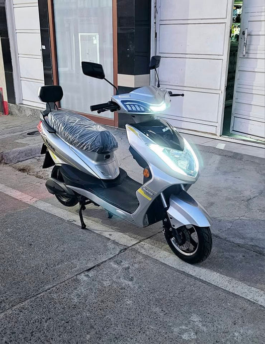 MOTO ELECTRICA 1000W