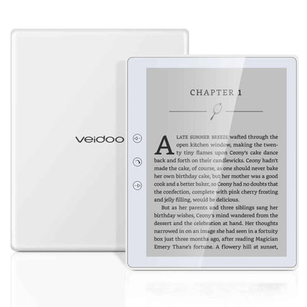 LECTOR DE LIBROS ELECTRONICO